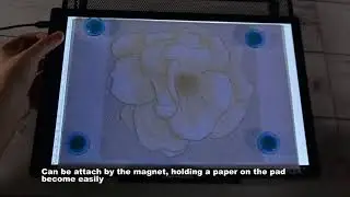 Magnetic A4 Light board