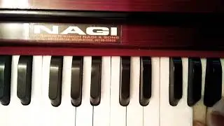 Chopai sahib on harmonium. Very easy and beautiful trick.