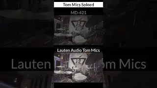 Lauten Audio Tom Mic VS Senheiser sennheiser md421 (modern & vintage) #drums #microphone