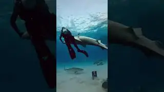 Dancing with the SHARKS 🦈 #sharkweek