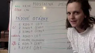Pády a pádové otázky