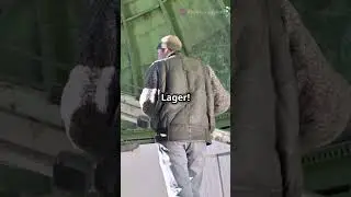 Wie wir die Milchstra&szlig;e von innen fotogr #kurz #shortvideo #shorts #ameisen #bildung
