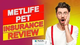 Metlife Pet Insurance Review &ndash; Is This The Best Insurance For Your Budget? (Pros And Cons Explained)