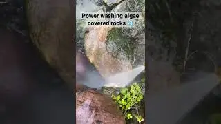 Power washing 💦 filthy algae covered pond rocks 🪨 #shorts #satisfying #clean #powerwashing