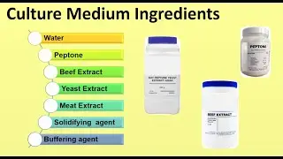 Definition of culture media |Raw materials used for culture media | microbiology lecture | Hindi