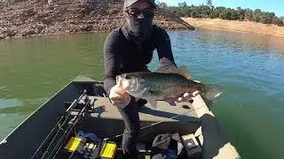 New Melones early summer bass fishing! All the tricks to learn!