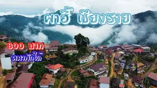 เที่ยวผาฮี้  เชียงราย วิวอย่างเด็ด‼️ Doi Phahi village