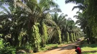 Asia Pacific Rally Championship