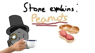 Stone explains: Peanuts (the crop)