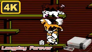 NES Longplay Bible Adventures (Unlicensed) l Longplay Forever l