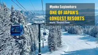 Myoko Suginohara Ski Resort Niigata | 3rd Longest Ski Course in Japan (with subtitles) 妙高杉ノ原スキー場