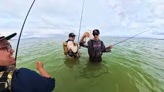 Bay Area Striper Fishing & San Francisco Bay Halibut Fishing | Subscriber Fishing Trip!