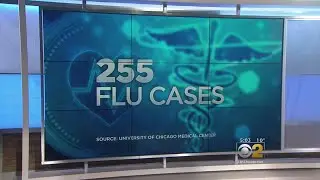 Flu Cases Spike In Cook County