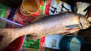 Big Fish Cutting Skills 2020, Adept Worker Cutting Big Indian Salmon Fish Into Pieces At Fish Market