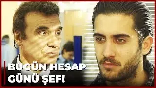 Memoli, Şef'ten Son Kez İzin İstiyor | Yılan Hikayesi 49. Bölüm