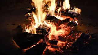 Embrace the Firelight: 1 Hour of Cozy Campfire Ambiance 🔥: Crackling Wood Sounds 🌄 for Relaxation