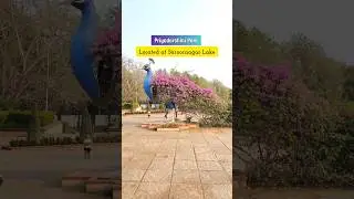Priyadarshini Park, Saroor Nagar, Hyderabad #hyderabadplaces #priyadarshinipark