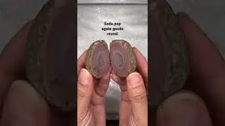 Soda pop agate geode reveal #crystal #geode #pink