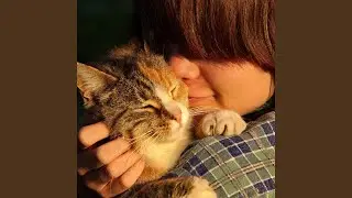 Joy Moments for Pet Bliss