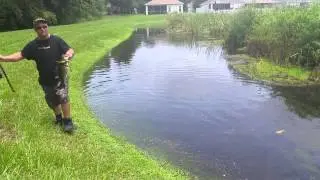 Impact lures