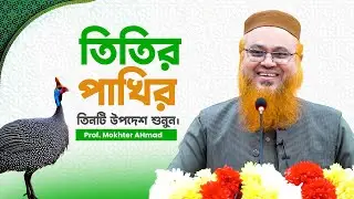 ✅ Listen to the three pieces of advice from the pheasant. Professor Mokhter Ahmad