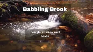 Gentle Stream with Birds Chirping in the distance 5hour 001