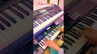 Roland XPS 30 Mandolin Tone instrumental keyboard #youtubeshorts