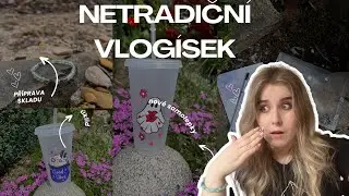 NETRADIČNÍ VLOGÍSEK / Krystalium.cz