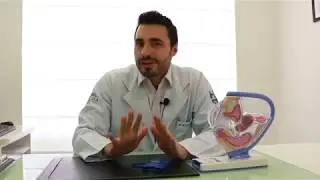 ANEL VAGINAL – Dr.Bruno Bedoschi