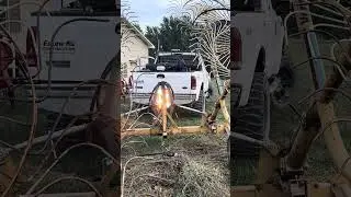 Flashy lights #eskewfarms #farmsafety #farming