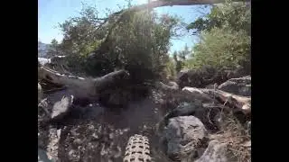 Don't Miss That Turn- Strawberry Peak