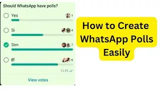 СОЗДАЙТЕ опрос в WhatsApp за считанные минуты