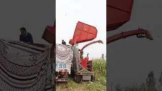 #Small forage harvester#Silage combine harvester#Mini silage harvester