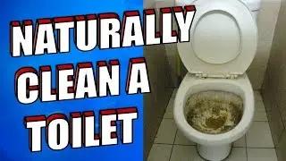 How To Clean a Toilet using Baking Soda and Vinegar