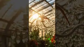 Greenhouse Gleam! Tiny Gecko's Crystal Ascent ☀️🦎