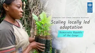 Growing forests and livelihoods with caterpillar trees in DRC: Pilier aux Femmes Vulnérables Actives