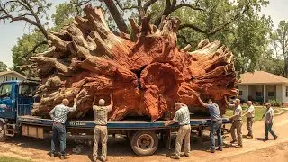 Master Craftsman: Turning a Giant Tree Stump Into a Dining Table With Unique Curves;