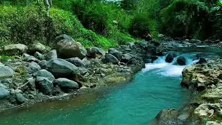 River Sounds for Sleeping Deep Sleep | Gentle Flowing Water Nature Sounds