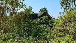 SHOCKING CHANGE - We HELP clean up abandoned house for 300 years for FREE