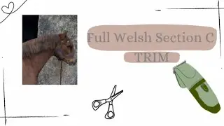 Full Welsh Section C Showing Trim