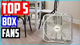 Best Box Fans | Top 5 Best Box Fan Review
