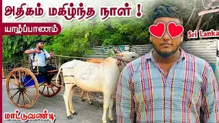 அதிகம் மகிழ்ந்த நாள் - மாட்டுவண்டி பணம் ! Pavaneesan