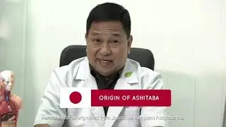 -JC Good Life Health Forum  Benefits of Good Leaf Ashitaba