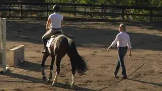 Windfall Farm
