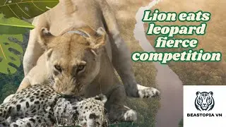 Instinct to Survive  Nature&rsquo;s Ruthless Game | Beastopia VN