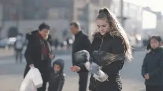 Amsterdam in one minute