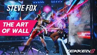 Steve Fox - The Art of Wall