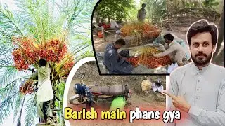 Barish main phans gya 😢 | Khajoor lyne Sind gya | MB 628 
