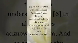 BIBLE AUDIO PROVERBS 3:5-6 || God's Word - Bible Stories #Shorts