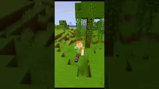 TikTok Hacks Be Like&hellip;#minecraft